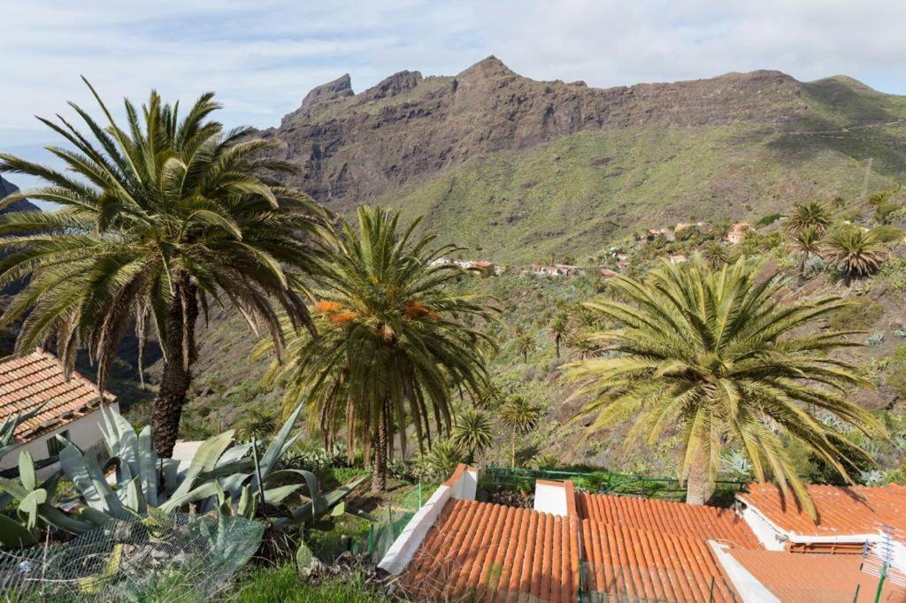 Traditional Canary Cottage In Masca Buitenkant foto